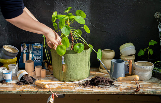 Unterbelichtet Photography