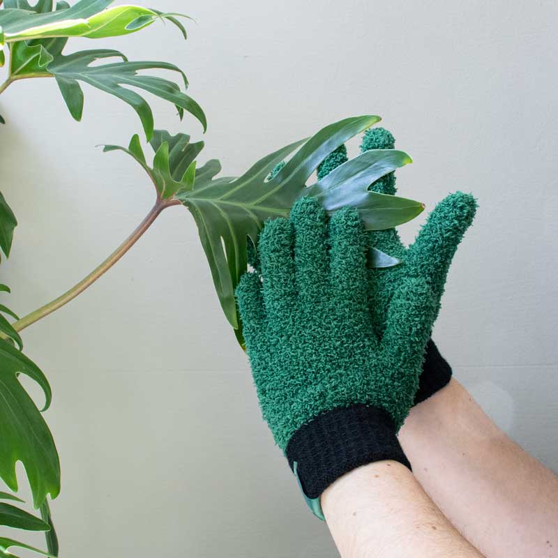 grüne fingerlose handschuhe Grüne Daumen Handschuhe – Staubhandschuhe für deine Pflanzen – Pomeranze Berlin