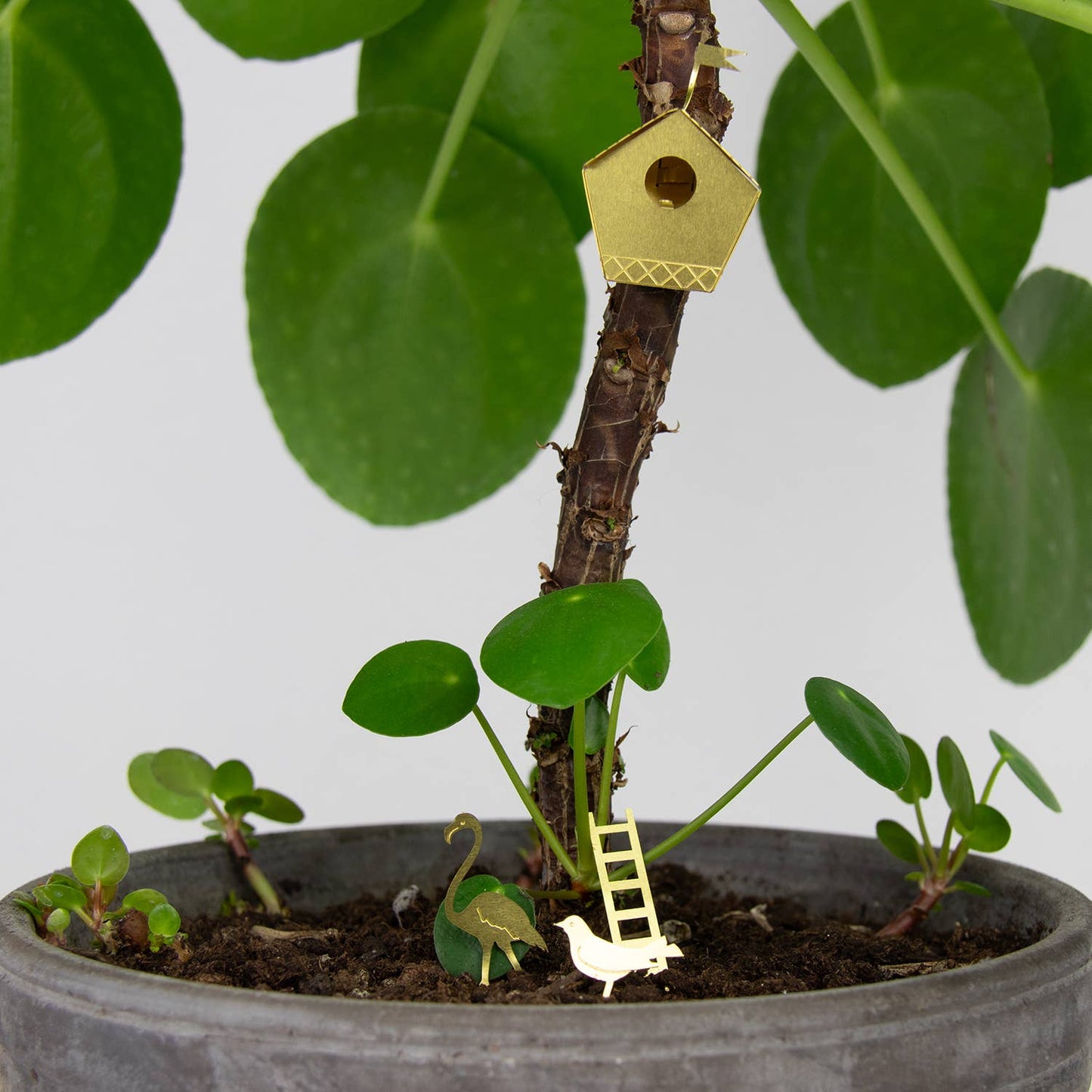 Tiny Birdhouse – Mini-Vogelhaus für deine Pflanzen