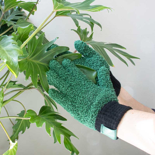 Grüne Daumen Handschuhe – Staubhandschuhe für deine Pflanzen