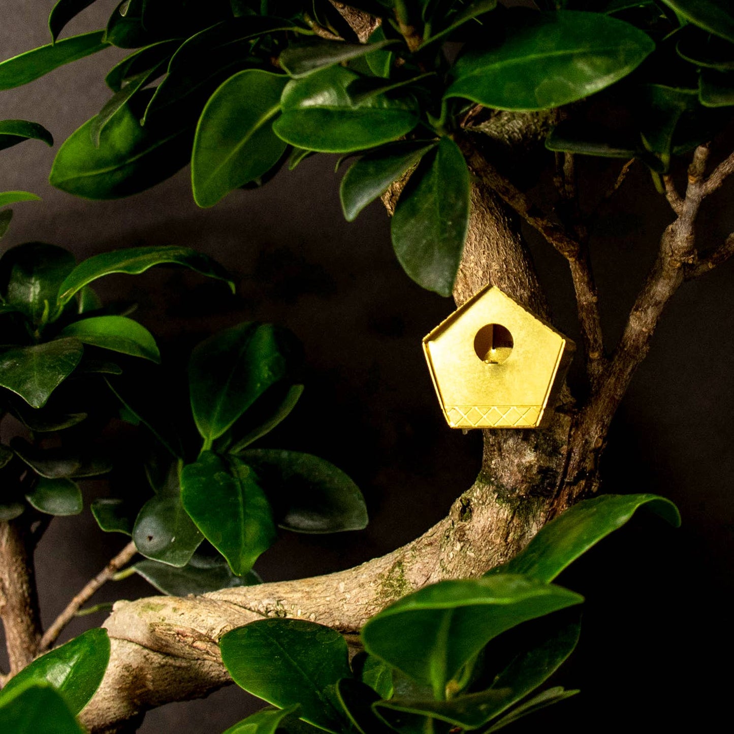 Tiny Birdhouse – Mini-Vogelhaus für deine Pflanzen