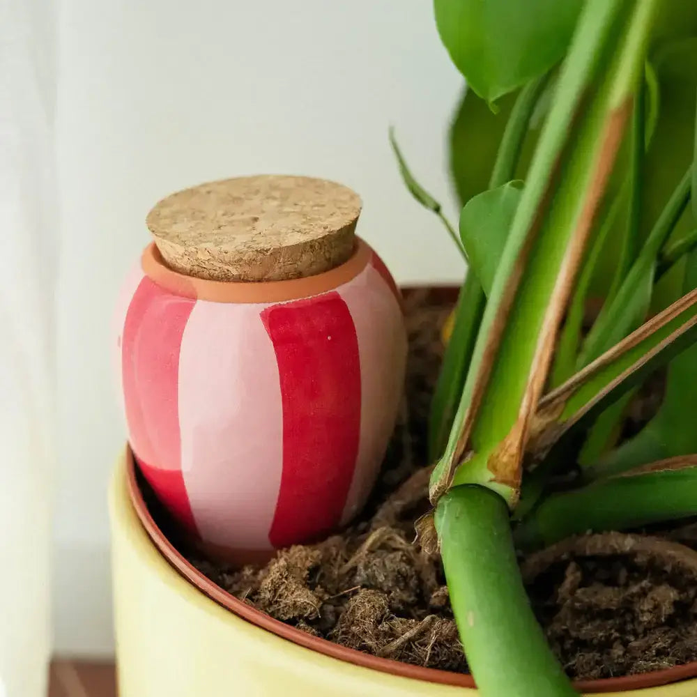 Olla - Gestreift pink und rot