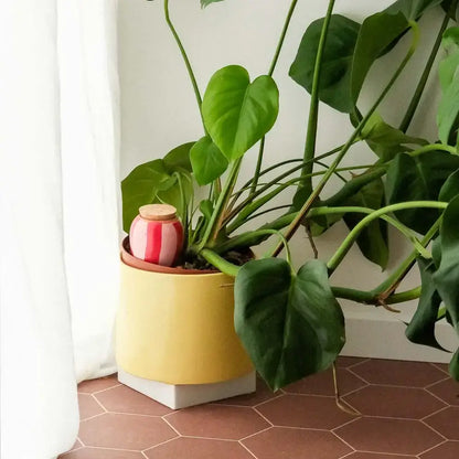 Olla - Gestreift pink und rot