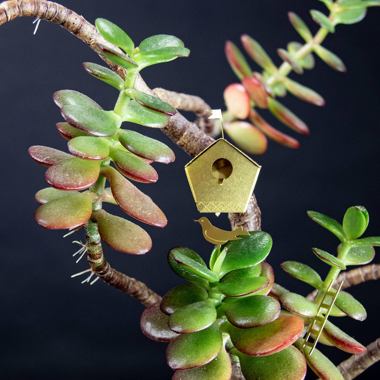 Tiny Birdhouse – Mini-Vogelhaus für deine Pflanzen