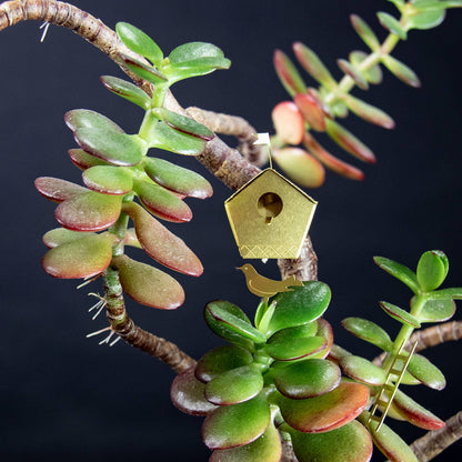 Tiny Birdhouse – Mini-Vogelhaus für deine Pflanzen
