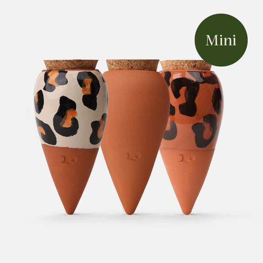 Box Trio Mini-Ollas – die Leoparden