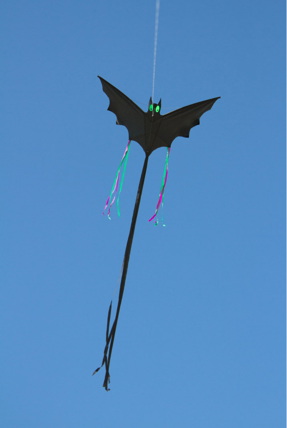 Fledermausdrachen