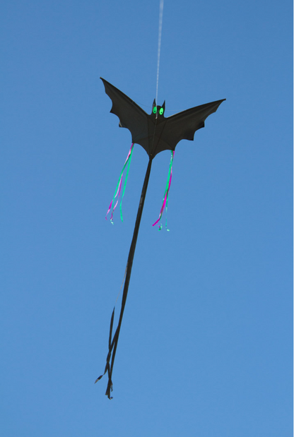 Fledermausdrachen