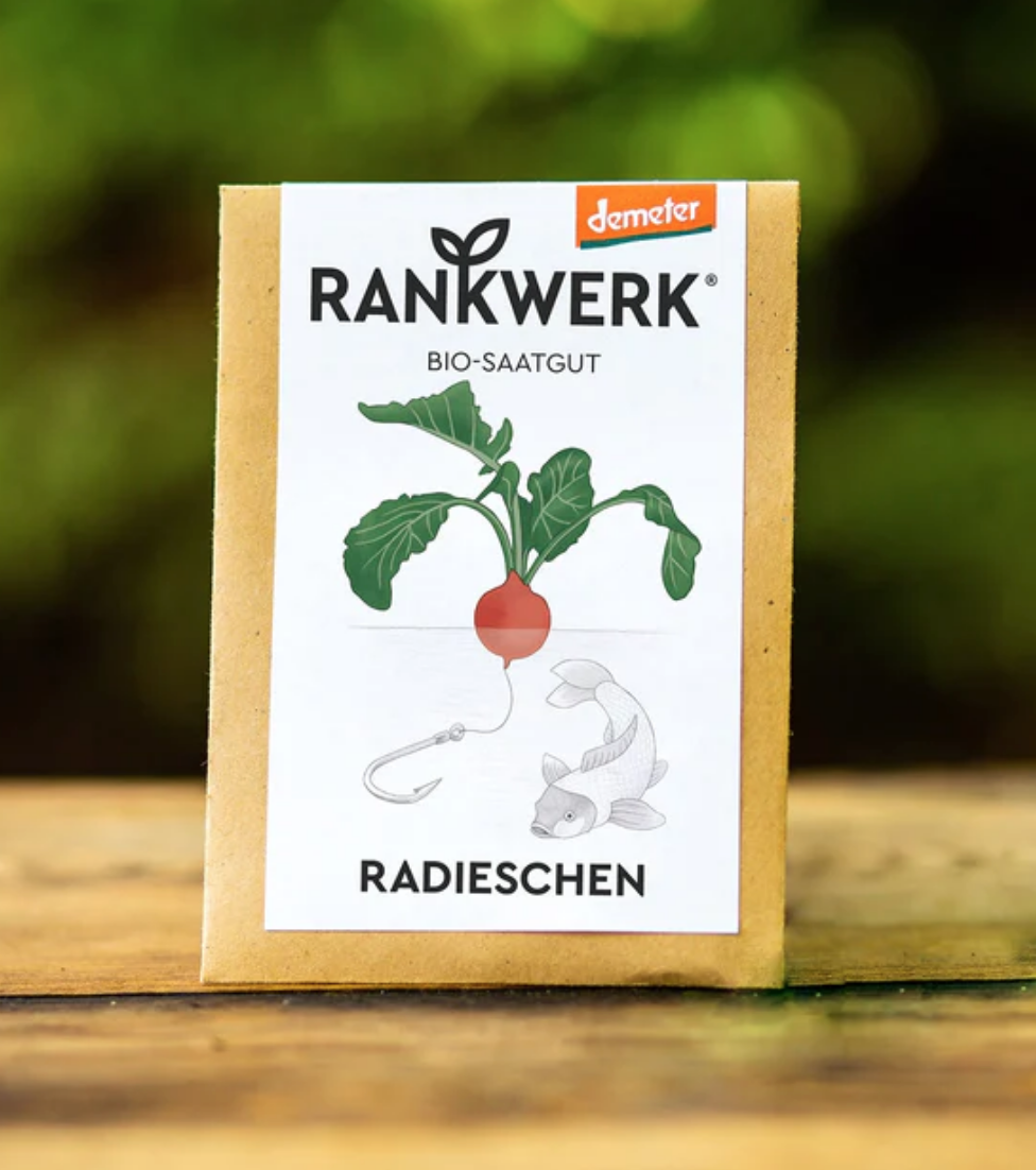 Radieschen "Sora"