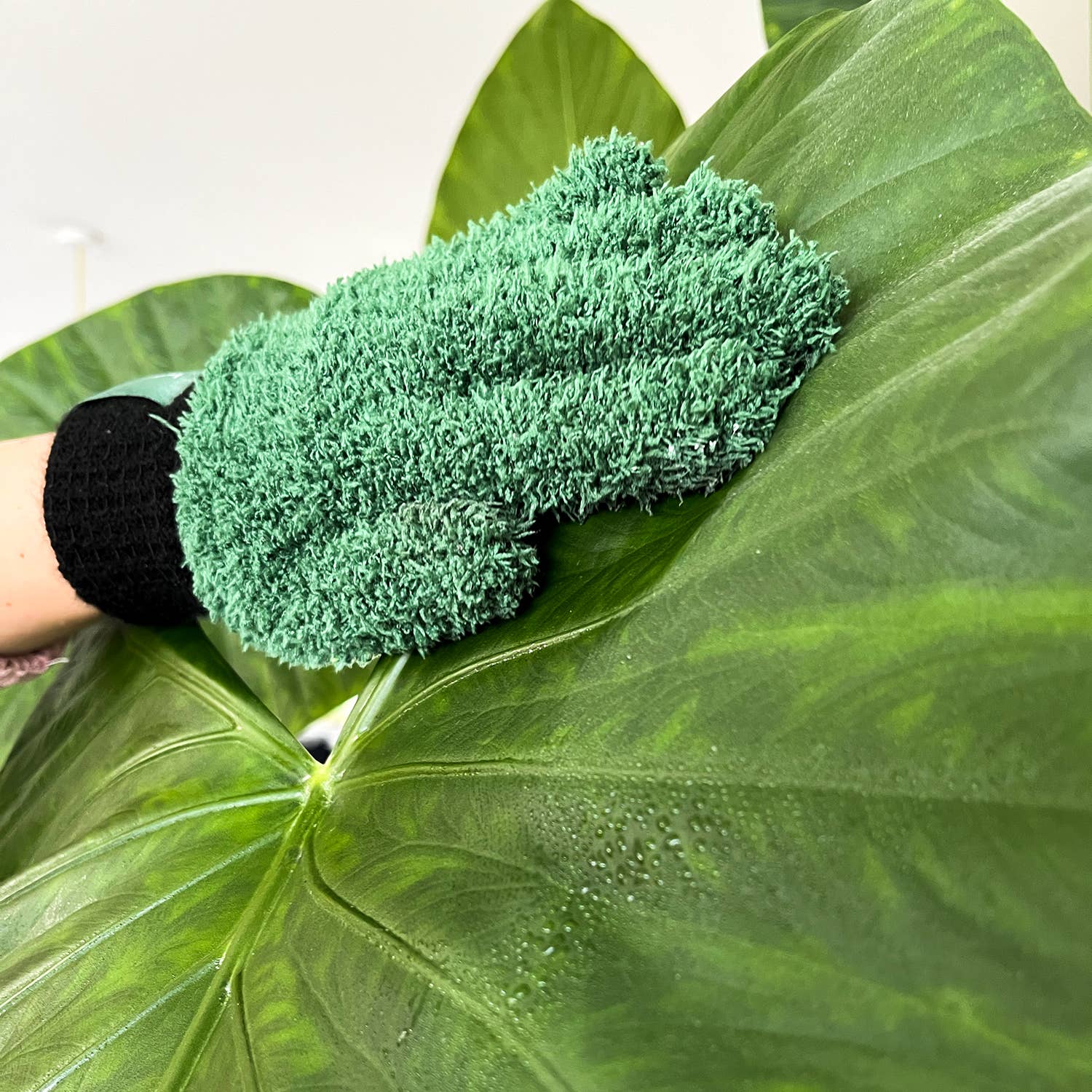 handschuh grüner daumen Grüne Daumen Handschuhe – Staubhandschuhe für deine Pflanzen