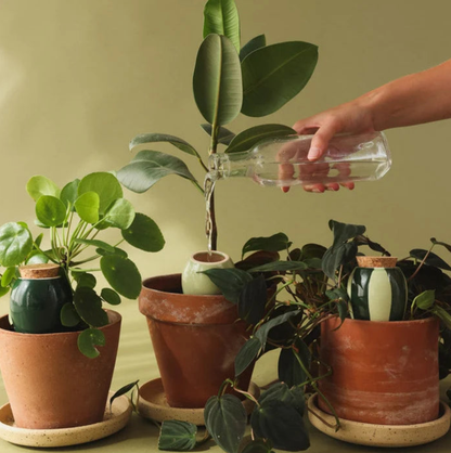 Mini-Olla-Trio – Die Grünen