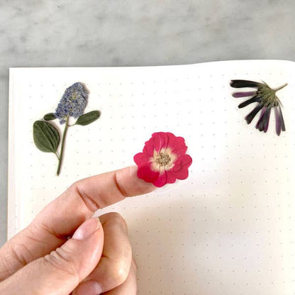 Stickerbogen Gepresste Blumen