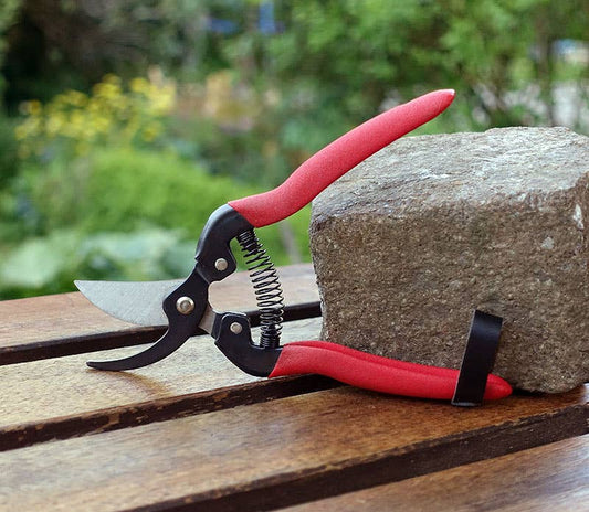 Ziergartenschere
