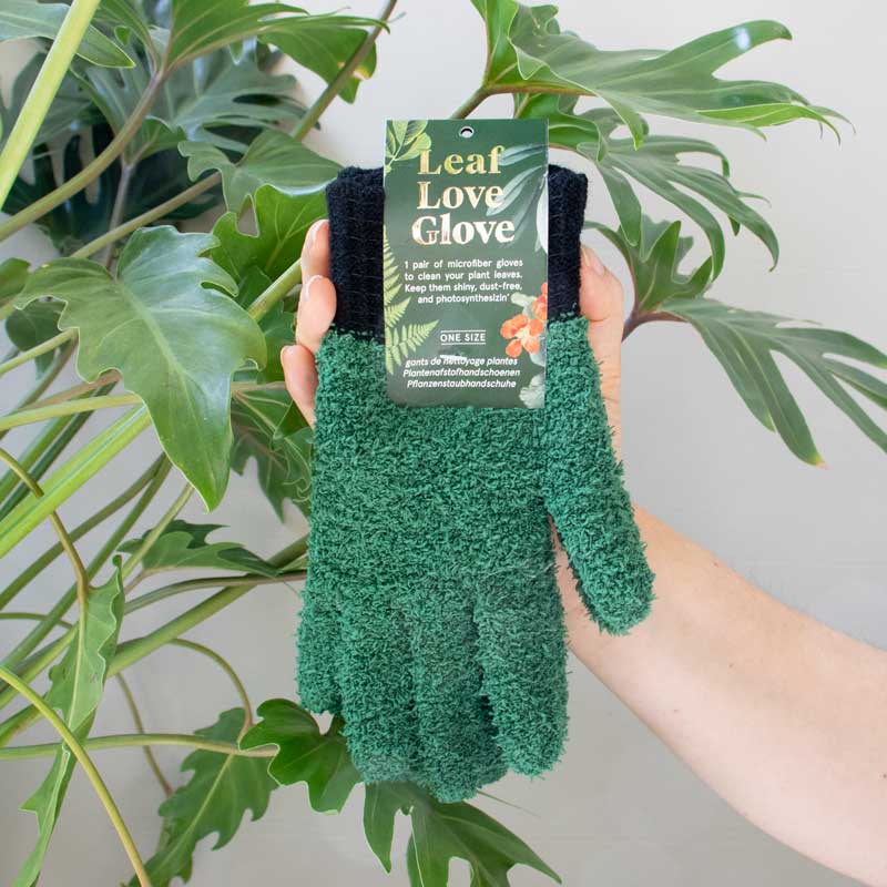 handschuhe daumen frei Grüne Daumen Handschuhe – Staubhandschuhe für deine Pflanzen – Pomeranze Berlin