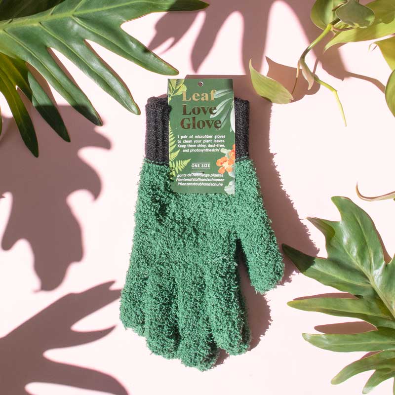 handschuh grüner daumen Grüne Daumen Handschuhe – Staubhandschuhe für deine Pflanzen