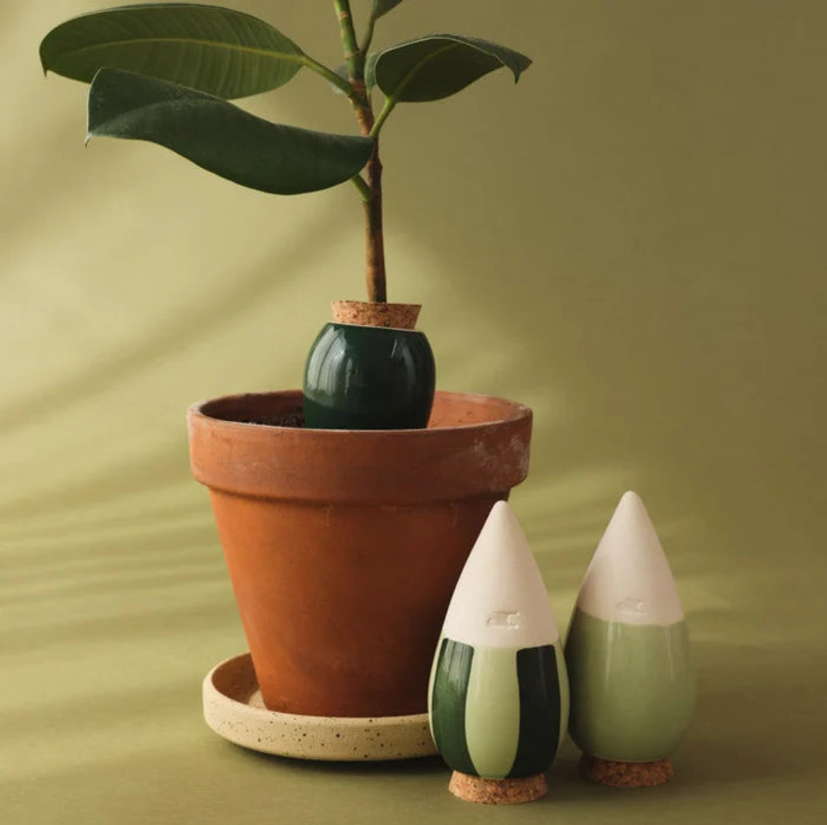 Mini-Olla-Trio – Die Grünen