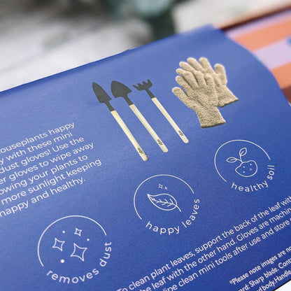 Saje Zimmerpflanzen-Pflegeset - Blätterstaub-Handschuhe und Mini-Werkzeuge